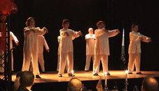 Kung Fu Tai Chi Show de Doelen 16 feb. 2018